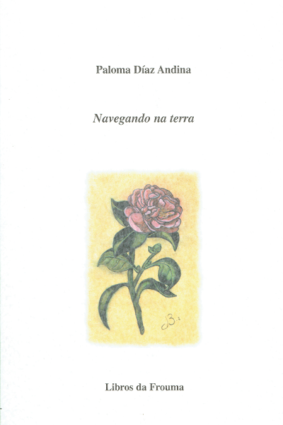 Navegando na Terra