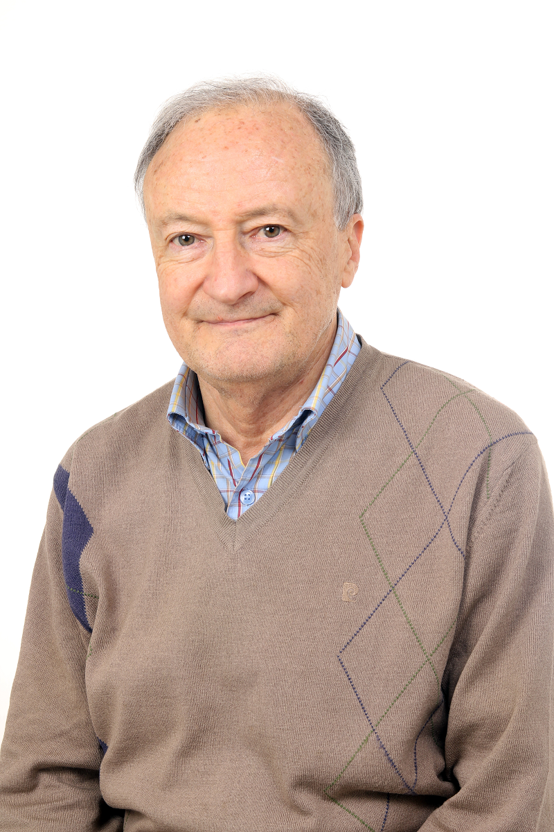 José Luis Pérez Ron